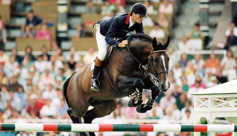 QUITO DE BAUSSY - Warmblood Stallion